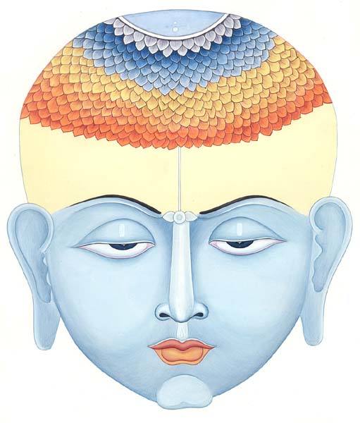 Le samadhi, état de méditation total, amène l'ouverture de sahasrara chakra, la libération.